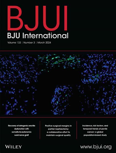 Who Are the Current Manchester United F.C. Players? A Comprehensive Guide to the Squad and Their Roles