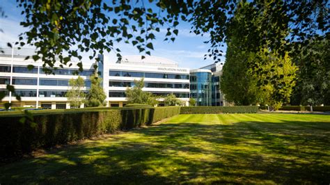 What Are the Latest AC Milan Standings? A Comprehensive 2024 Guide