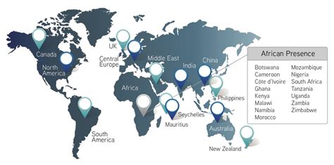 The Complete Guide to the Atletico Madrid Squad: Lineups, Players, and Insights