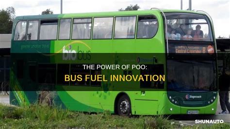 Lillehammer Olympics: A Comprehensive Guide to the 1994 Winter Games