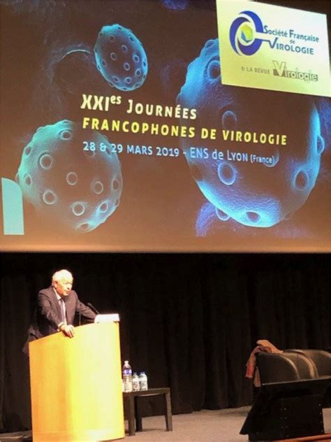 Everything You Need to Know About Freiburg FC: History, Legacy, and Modern Era