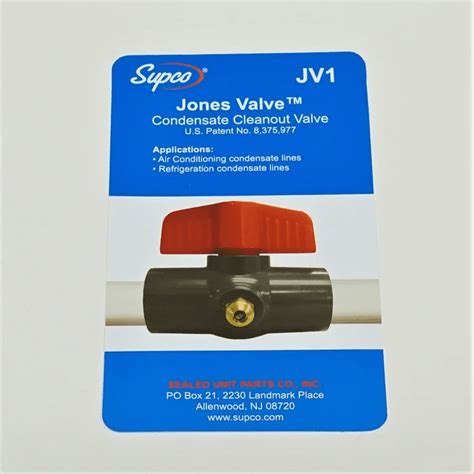 Valencia Marathon 2026: Everything You Need to Know for the Ultimate Running Experience