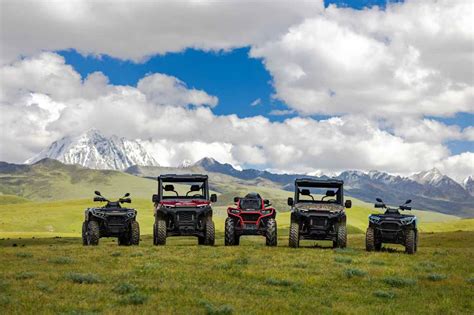 Freiburg Futbol24: Comprehensive Guide to Live Scores, Fixtures, and Updates