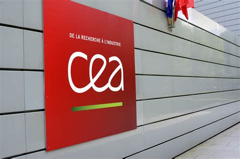 Mastering the Authentic Napolitan Recipe: From Naples to Your Kitchen