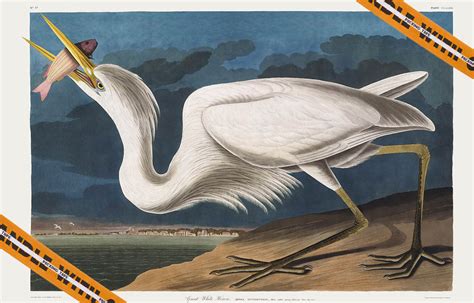 Everything You Need to Know About the Werder Bremen Schedule: Fixtures, Dates, and More