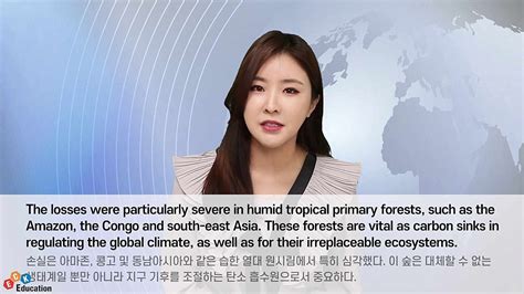 The Ultimate Guide to Lyon Table: Design, Functionality, and Buying Tips