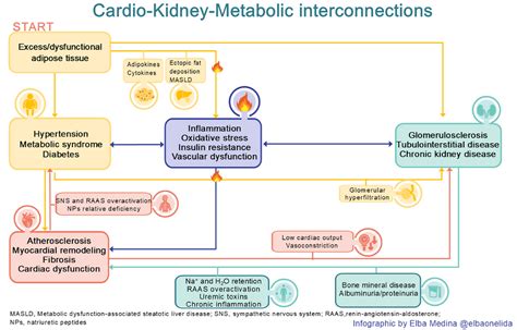 Wolfsburg Standings: A Comprehensive Analysis of Performance Metrics