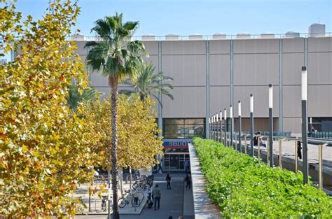 Mallorca vs Sevilla: A Comprehensive Analysis of Rivalry and Impact