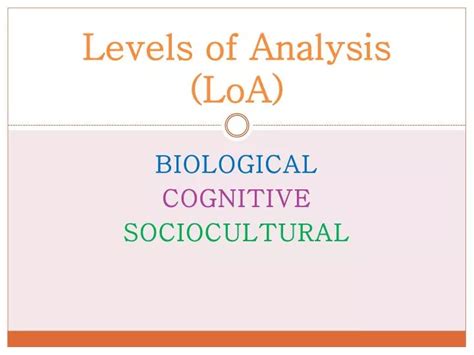 Analyzing the Defending Champions of the T20 World Cup