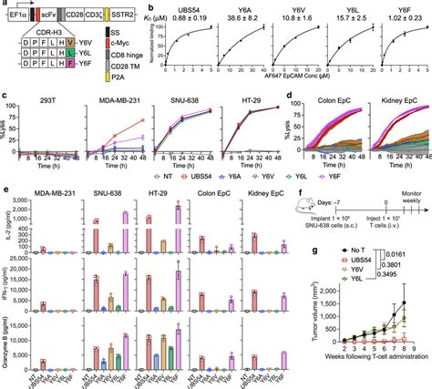 Comprehensive Analysis of Lautaro Martinez's Salary and Market Impact