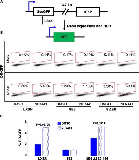 The Ultimate Guide to EPL Live Stream: Strategies, Insights, and Best Practices