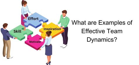 team dynamics